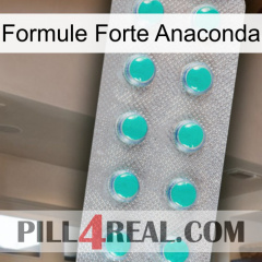 Anaconda Strong Formula 28